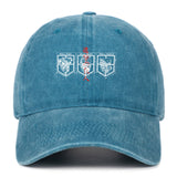 THE WALLS VINTAGE HAT