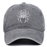 SPIDERS VINTAGE HAT