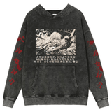 THE ABSOLUTE FADED HOODIE - Pomel