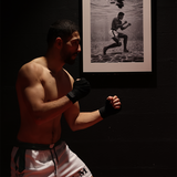 KING OF COUNTERS MESH SHORTS